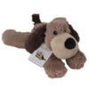 brown puppy